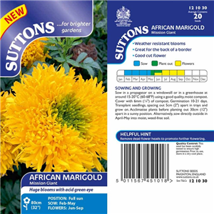 African Marigold Mission Giant